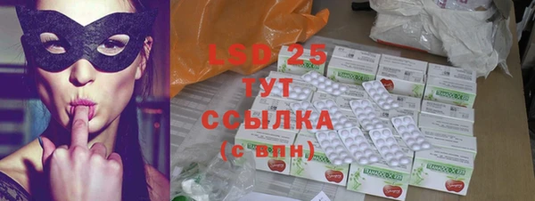 ГАЛЛЮЦИНОГЕННЫЕ ГРИБЫ Гусь-Хрустальный