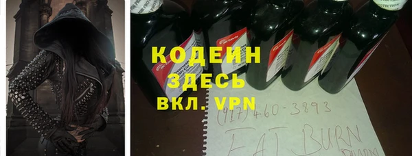 ГАЛЛЮЦИНОГЕННЫЕ ГРИБЫ Гусь-Хрустальный