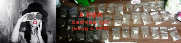ГАЛЛЮЦИНОГЕННЫЕ ГРИБЫ Гусь-Хрустальный