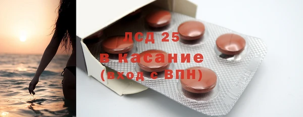 ГАЛЛЮЦИНОГЕННЫЕ ГРИБЫ Гусь-Хрустальный