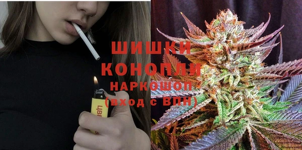 ГАЛЛЮЦИНОГЕННЫЕ ГРИБЫ Гусь-Хрустальный