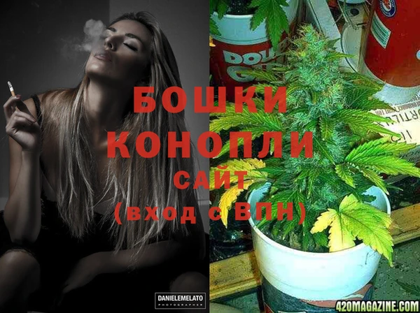 кокс Гусев