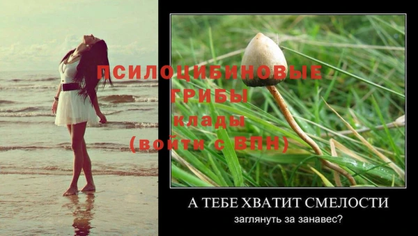 кокс Гусев