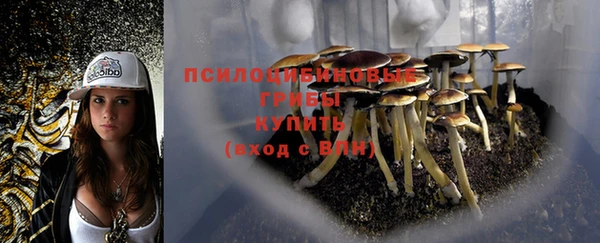 кокс Гусев