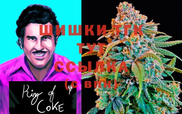 ГАЛЛЮЦИНОГЕННЫЕ ГРИБЫ Гусь-Хрустальный