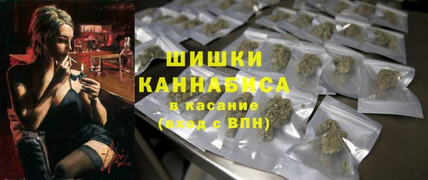 ГАЛЛЮЦИНОГЕННЫЕ ГРИБЫ Гусь-Хрустальный