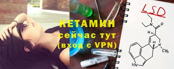 ГАЛЛЮЦИНОГЕННЫЕ ГРИБЫ Гусь-Хрустальный