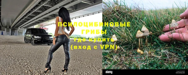 ГАЛЛЮЦИНОГЕННЫЕ ГРИБЫ Гусь-Хрустальный