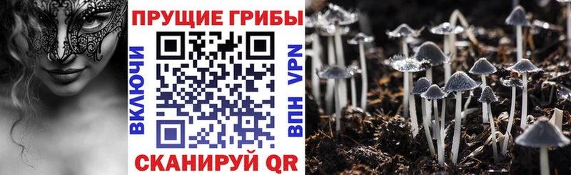 Псилоцибиновые грибы ЛСД  Златоуст 